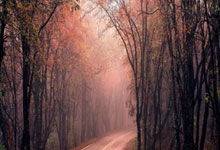 何时上阵？王霜本轮女超继续替补，此前两场进入名单都未出场.