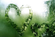 山东省庆云县人民法院：戴琳逃避执行28万及利息，依申请执行人悬赏执行申请庆云县人民法院执行局.