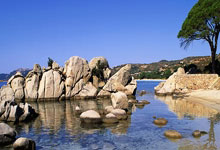 蓝狮在线:还需等待,姆巴佩和哈兰德至今都还没有收获直接任意球破门.